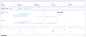 audit SEO (exemple)